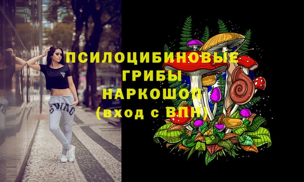 прущий лед Корсаков