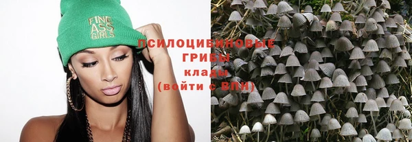 прущий лед Корсаков
