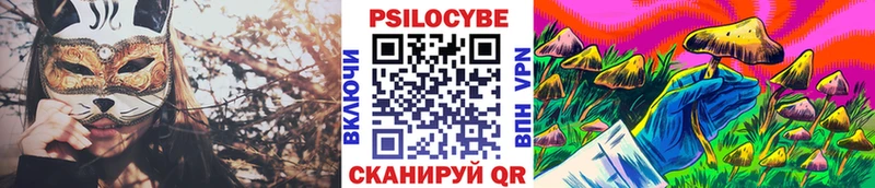 Купить где  Фатеж  Псилоцибиновые грибы MAGIC MUSHROOMS 